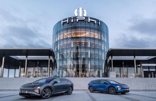 銅業與智造的跨界對話 高合汽車丁磊烏鎮夜話，用戶體驗是終極航標