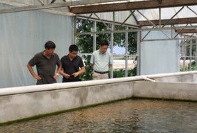 北京水產(chǎn)技術(shù)推廣站開展循環(huán)水養(yǎng)殖試驗與水質(zhì)改良劑研發(fā)